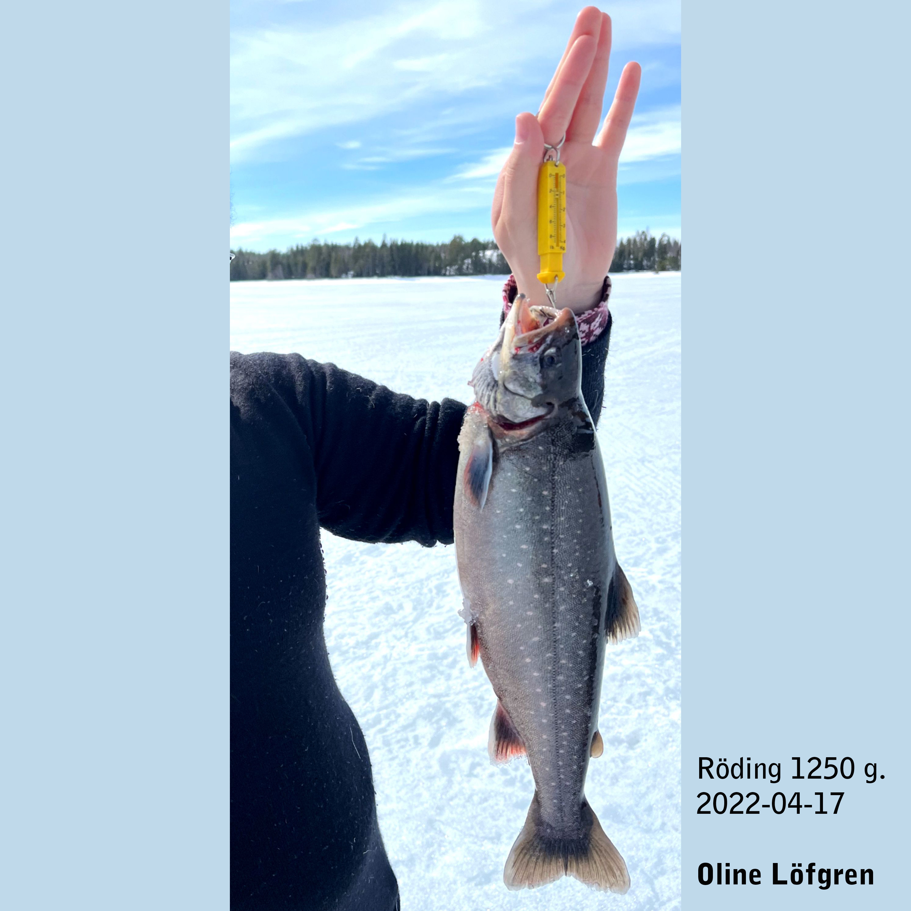 2022-04-17_OlineLoefgren