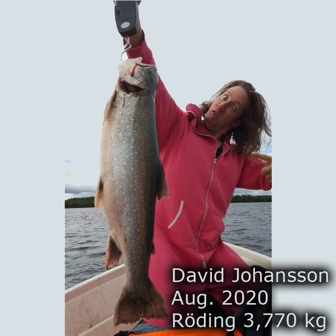 Aug 2020 David Johansson