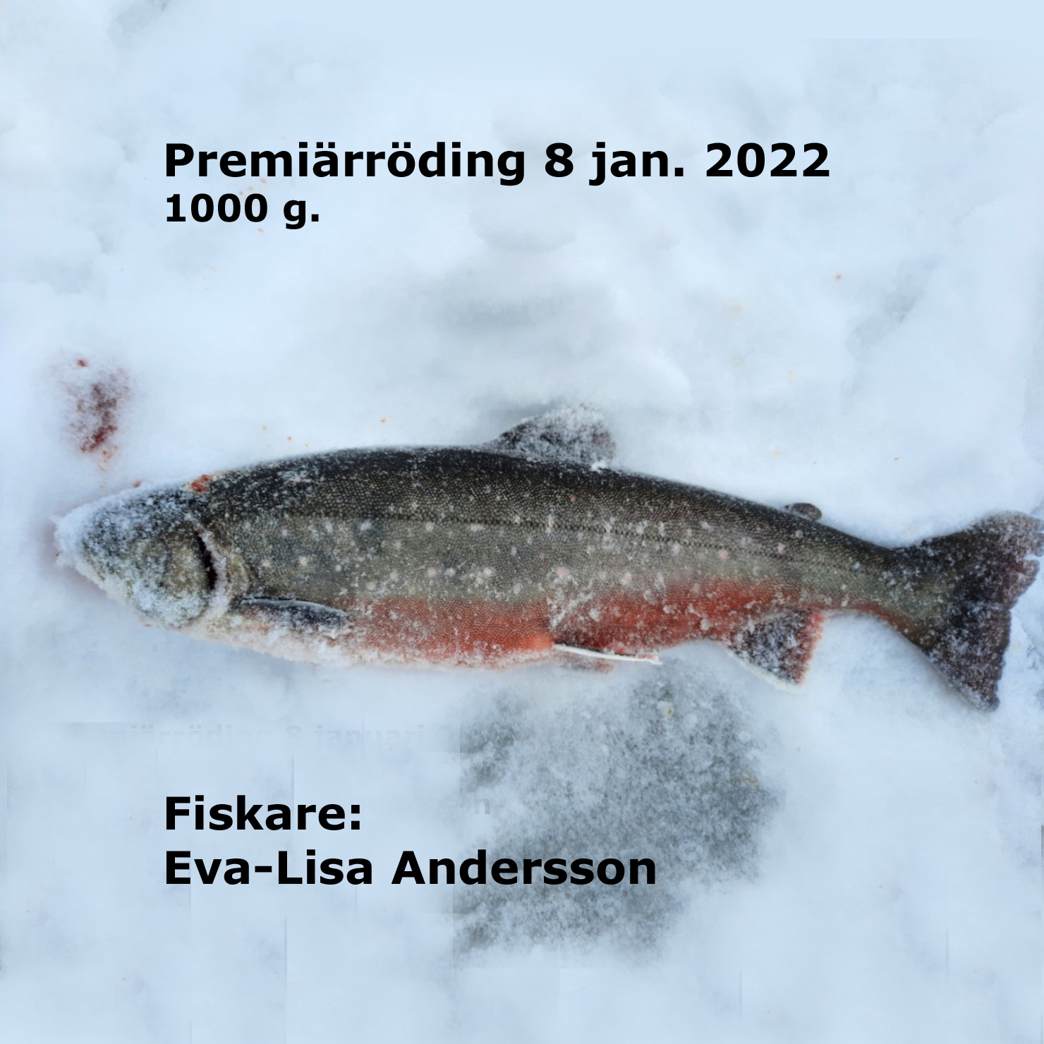 EvaLisaAndersson