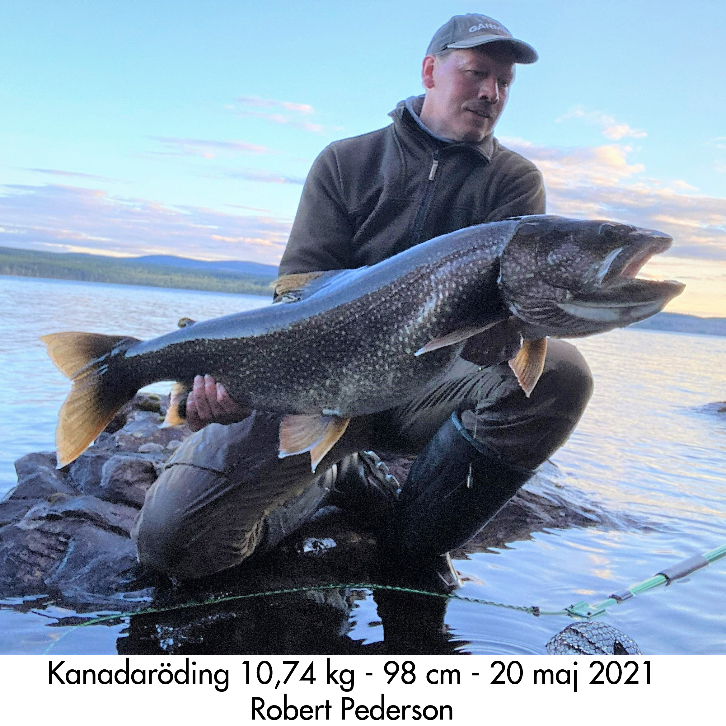 Kanadaröding 10740 g RP