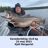 Kjell Bergqvist 10,8 210522