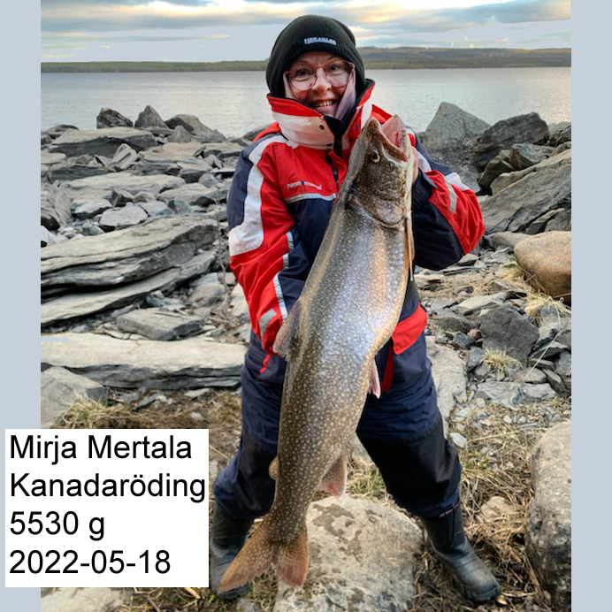 MirjaMertala_KR_5530