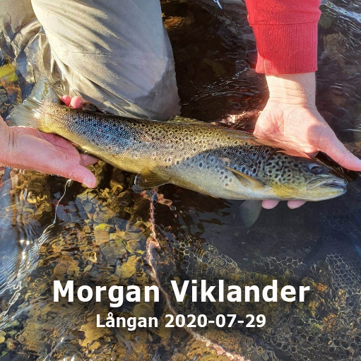 Morgan Viklander 200729
