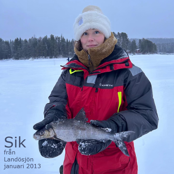 Sik_2013-01