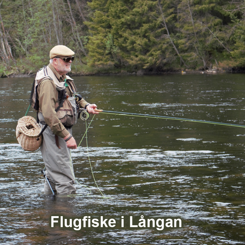 flugfiske langan-landosjon